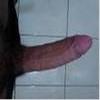 foto do perfil pica de fogo